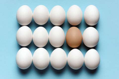 8 otroliga saker du aldrig visste om ägg