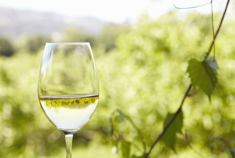 Ušesniki teže uvajajo nizko kalorično belo vino