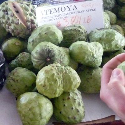 De atemoya is actually a fruit hybrid. It is a combination of the sugar apple and the cherimoya. The fruit is both sweet and tart and combines the flavors of pineapple, coconut, and vanilla. Atemoyas are popular to Taiwan, Palestine, and Lebanon, however it is native to Central and South America. The flesh can be scooped out of the shell and is best when chilled. Watch out for the large black seeds found throughout, they are toxic!