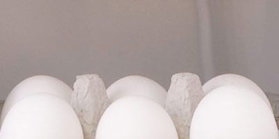 ว่า your eggs are small or large, brown or white, you