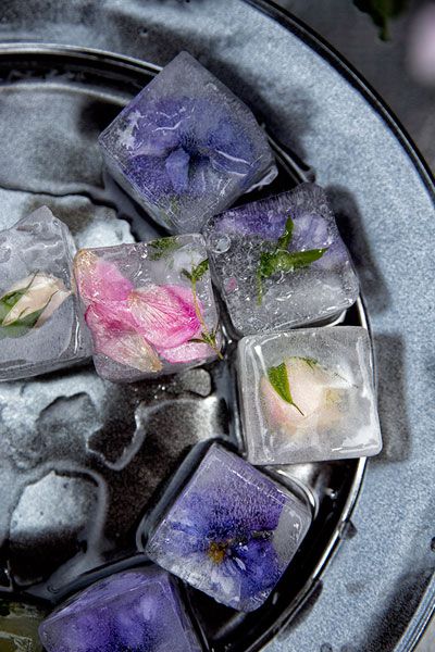 çiçek ice cubes