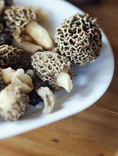 Morel Mushrooms - Pacific Northwest