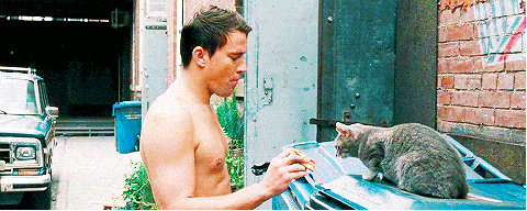 Channing Tatum Eats Pizza with a Cat