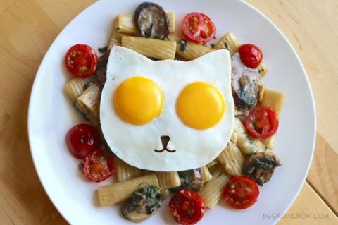 Bir sevimli kahvaltı kedi içine kızarmış yumurta nasıl çevirilir