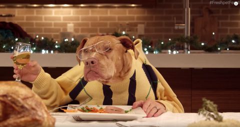 Dessa förtjusande, uppklädda hundar äter middag är din nya favorit semestervideo