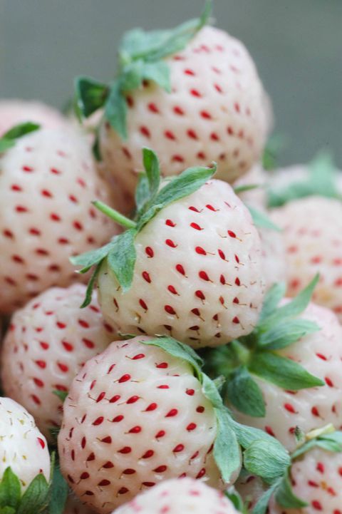 Dessa är jordgubbar som smakar som bubblegum