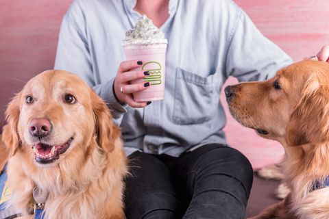 Shake Shack Sevimli Puppies Faydalı Bir Pink Glittery Milkshake Bırakıyor