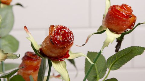 slanina Roses