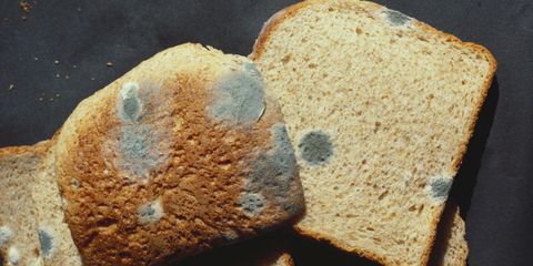Om du någonsin har plockat mögel av ditt bröd, detta kommer allvarligt att chocka dig