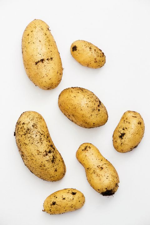 čerstvo lifted new potatoes var Charlotte